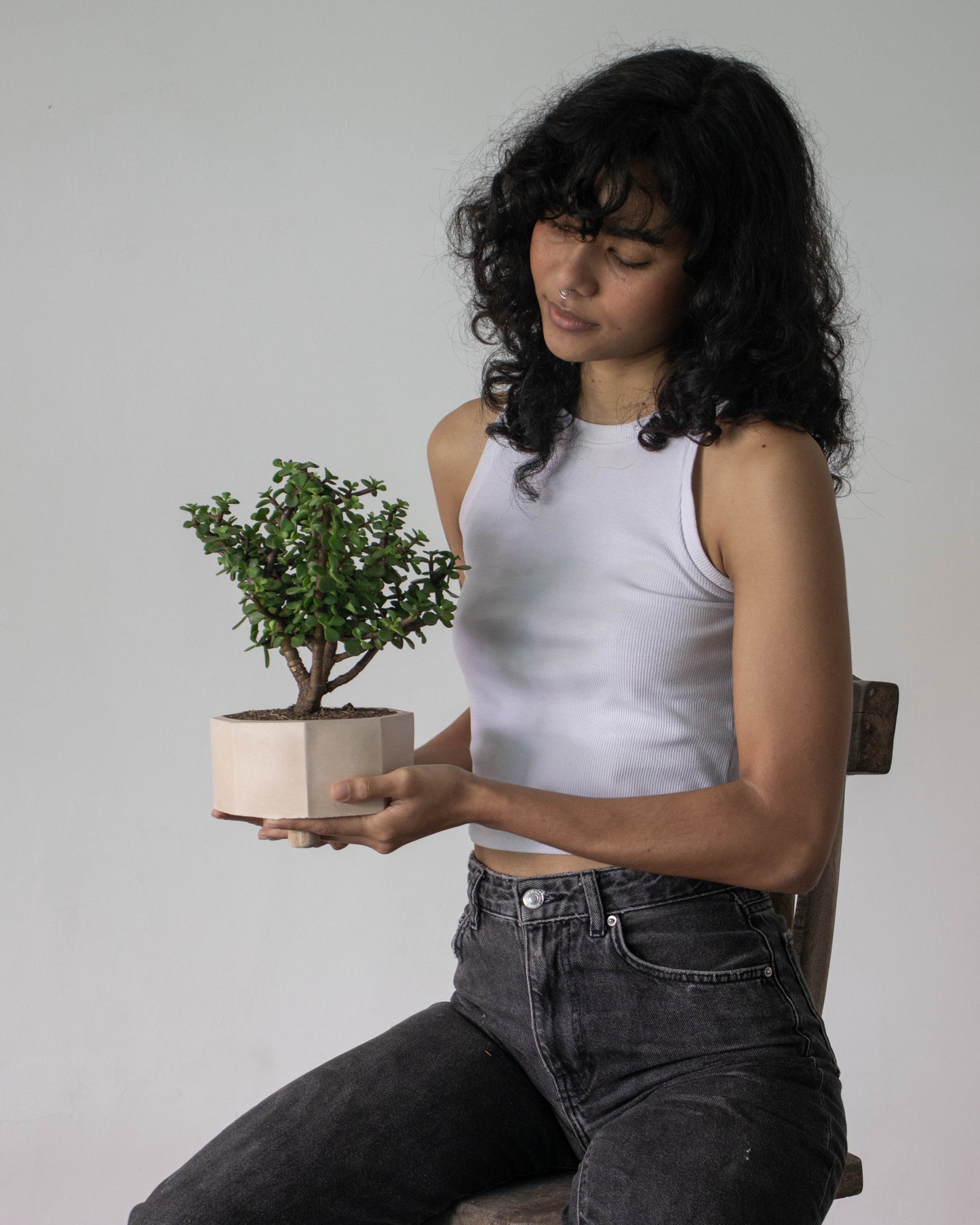 Bonsái jade