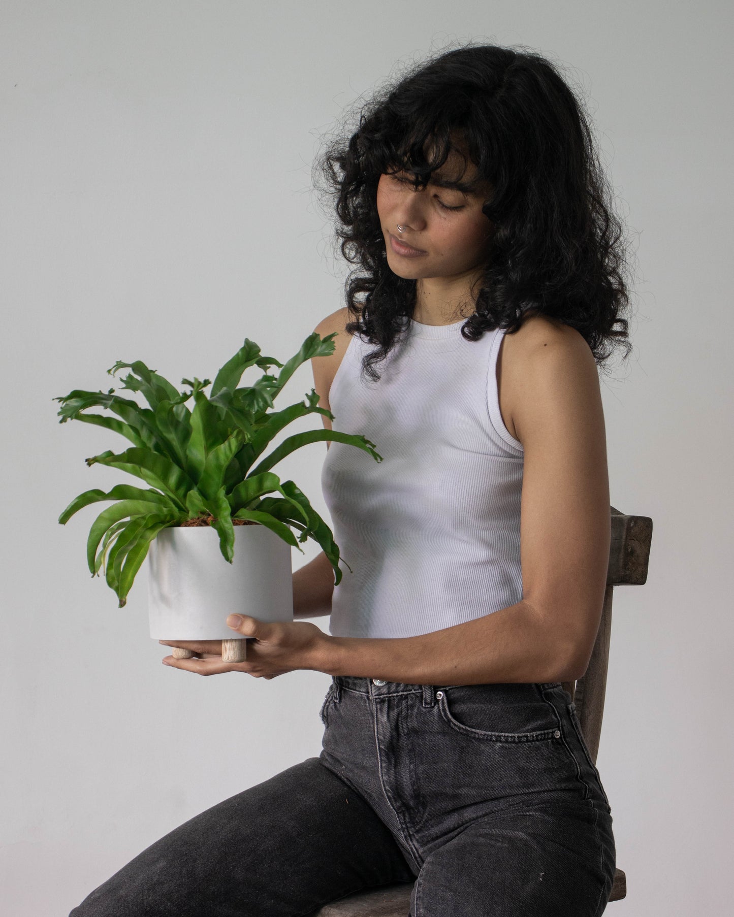 Helecho Cola de Ballena