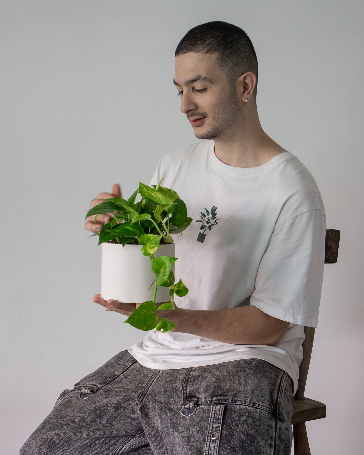 Miami variegado